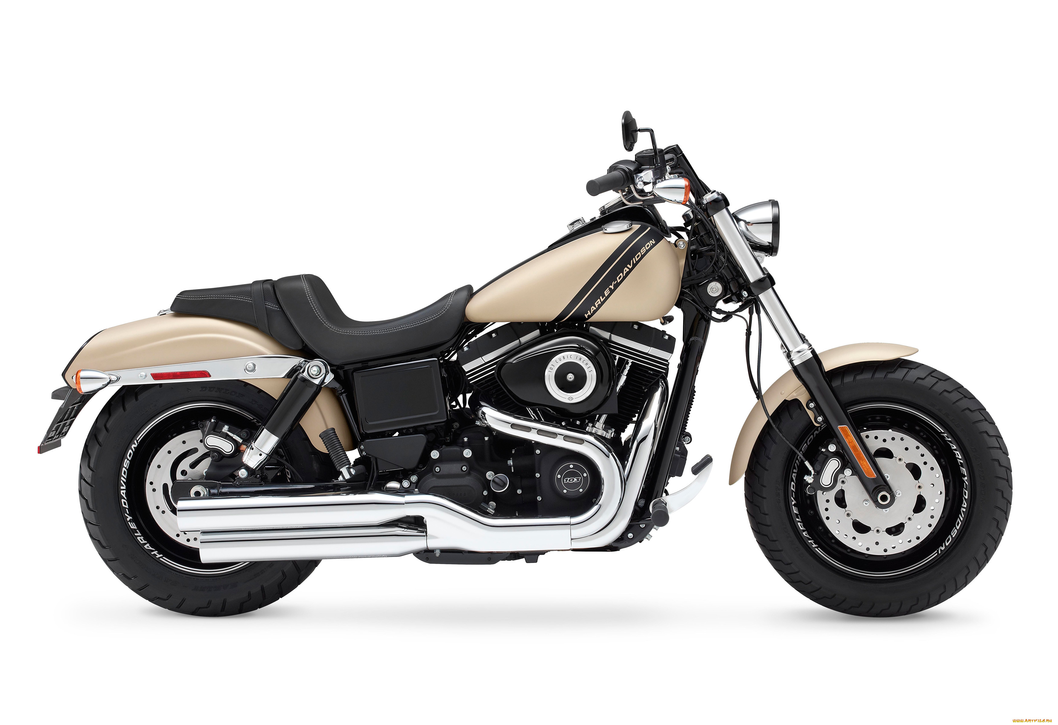 , harley-davidson